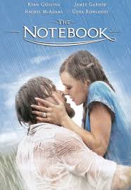 Book cover of The Notebook